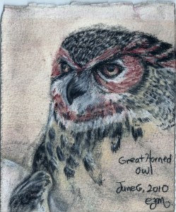 2010.6.6 Great Horned Owl