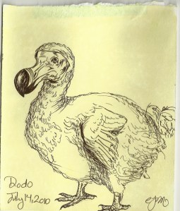 2010.7.14 Dodo