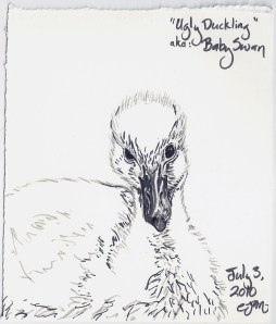 2010.7.3 Ugly Duckling AKA Baby Swan