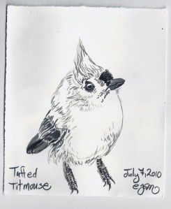 2010.7.7 Tufted Titmouse